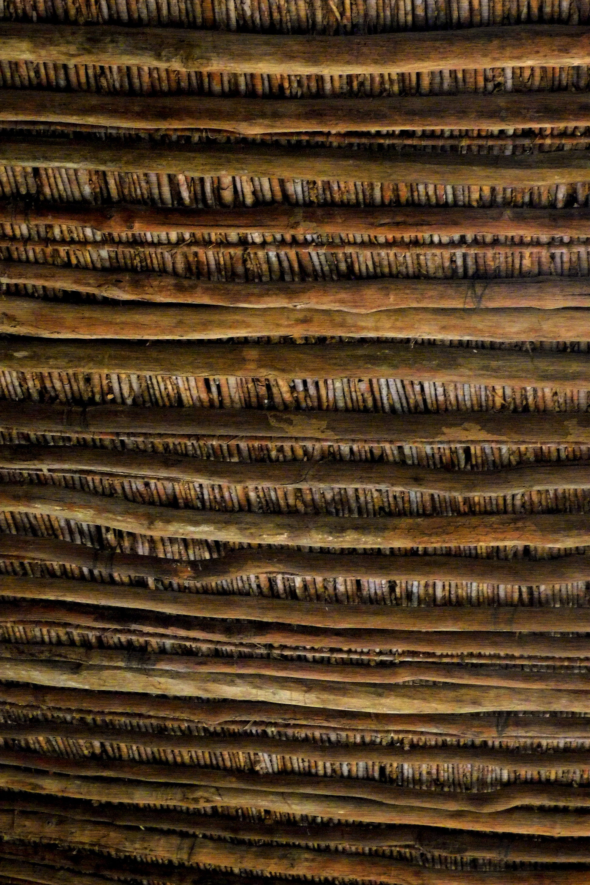 Textura 1