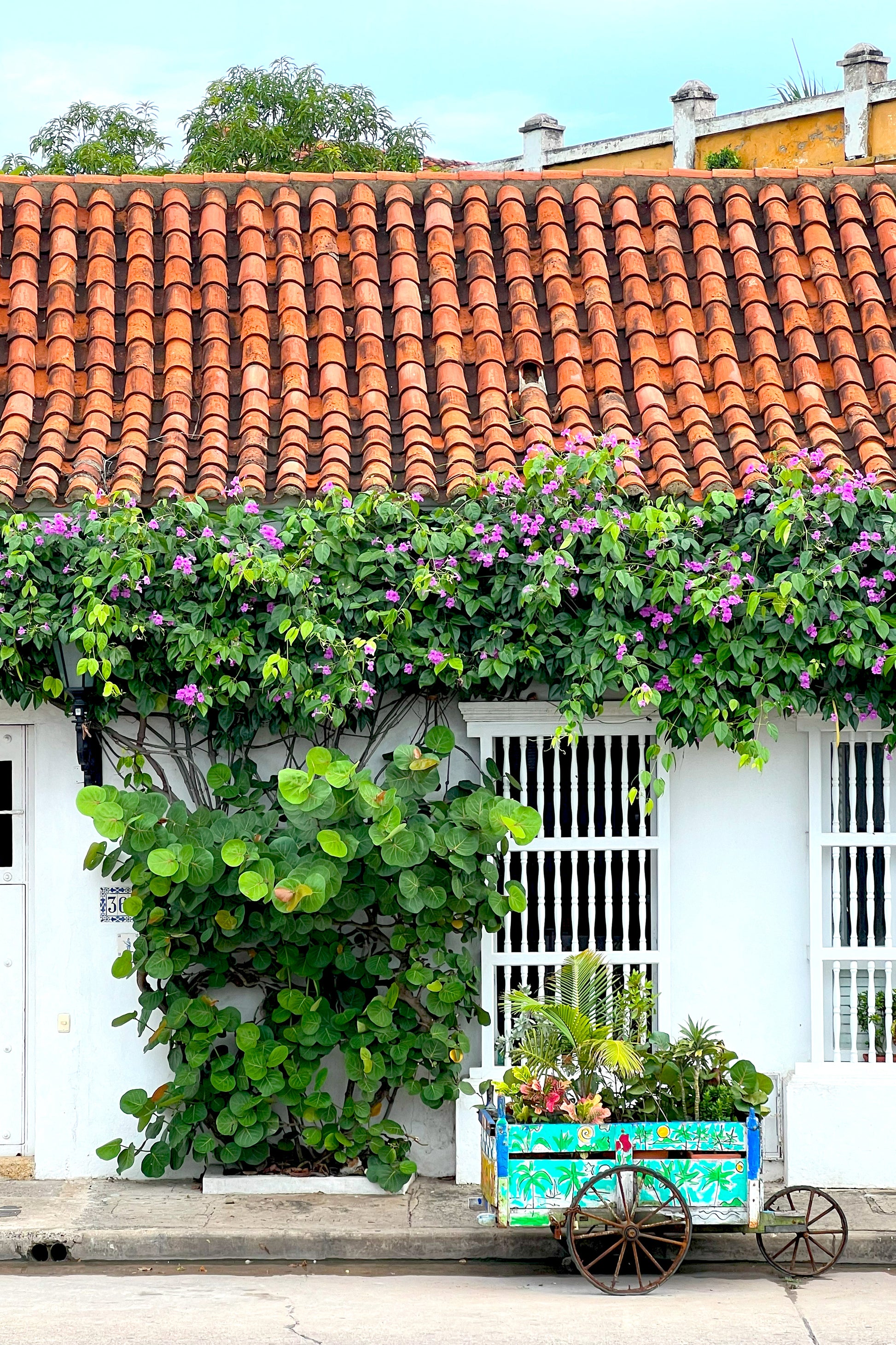 Casa 4