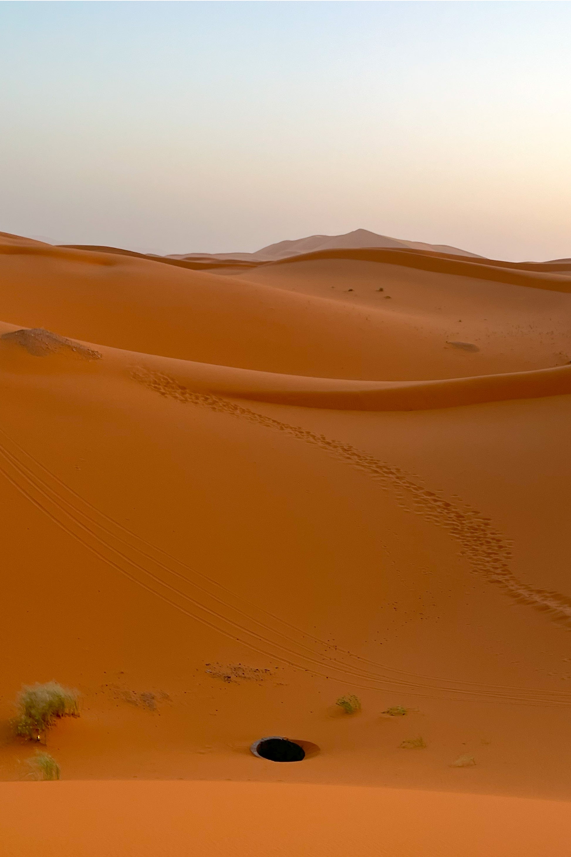 Desierto