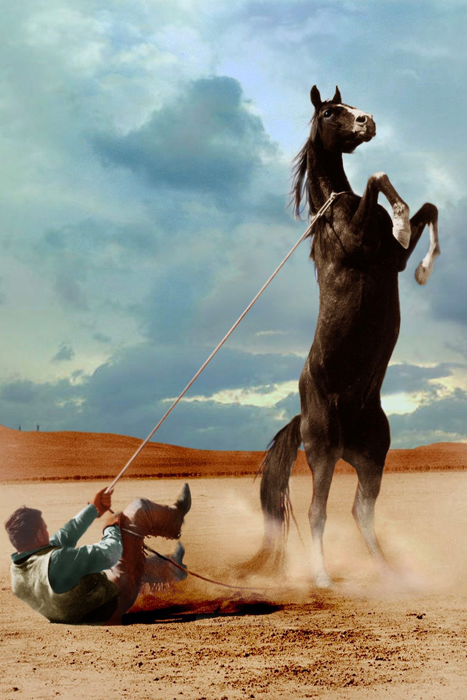 Caballo 2