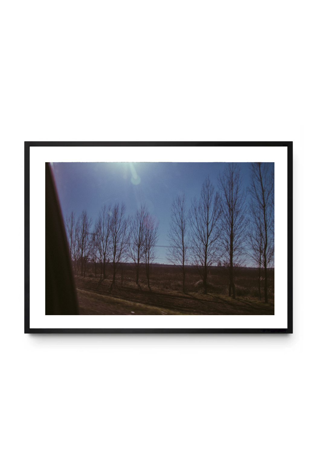 Árboles en Horizonte