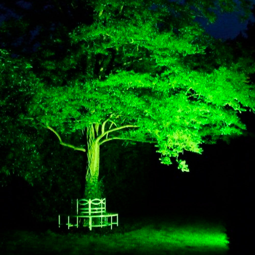 Estaca Fausta Jardín Luz Verde