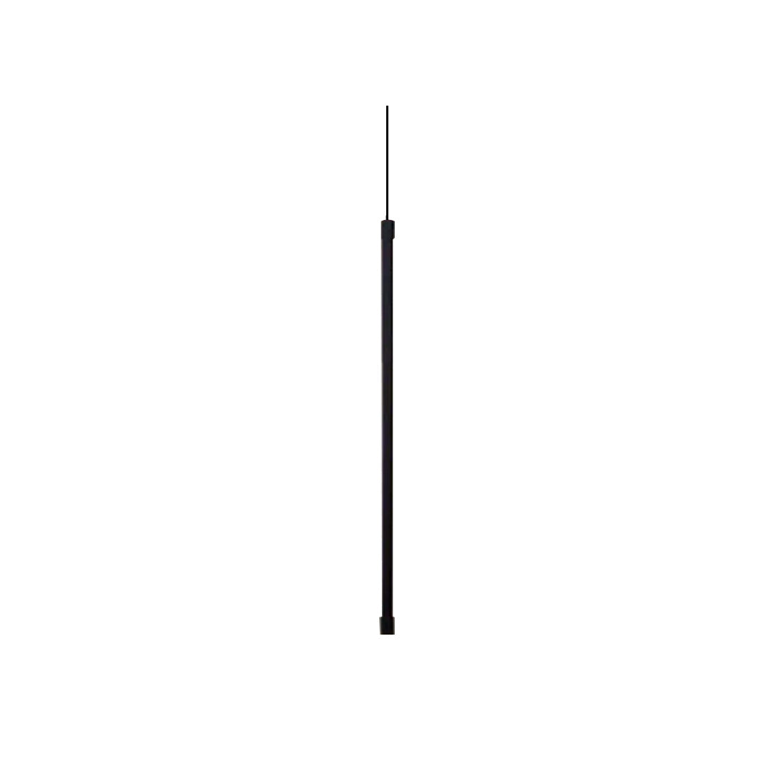 Caelum Negra
