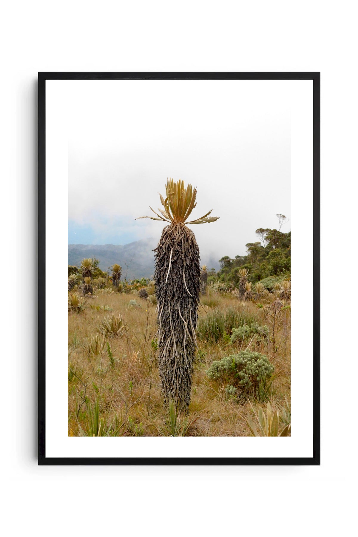 Jardín 2