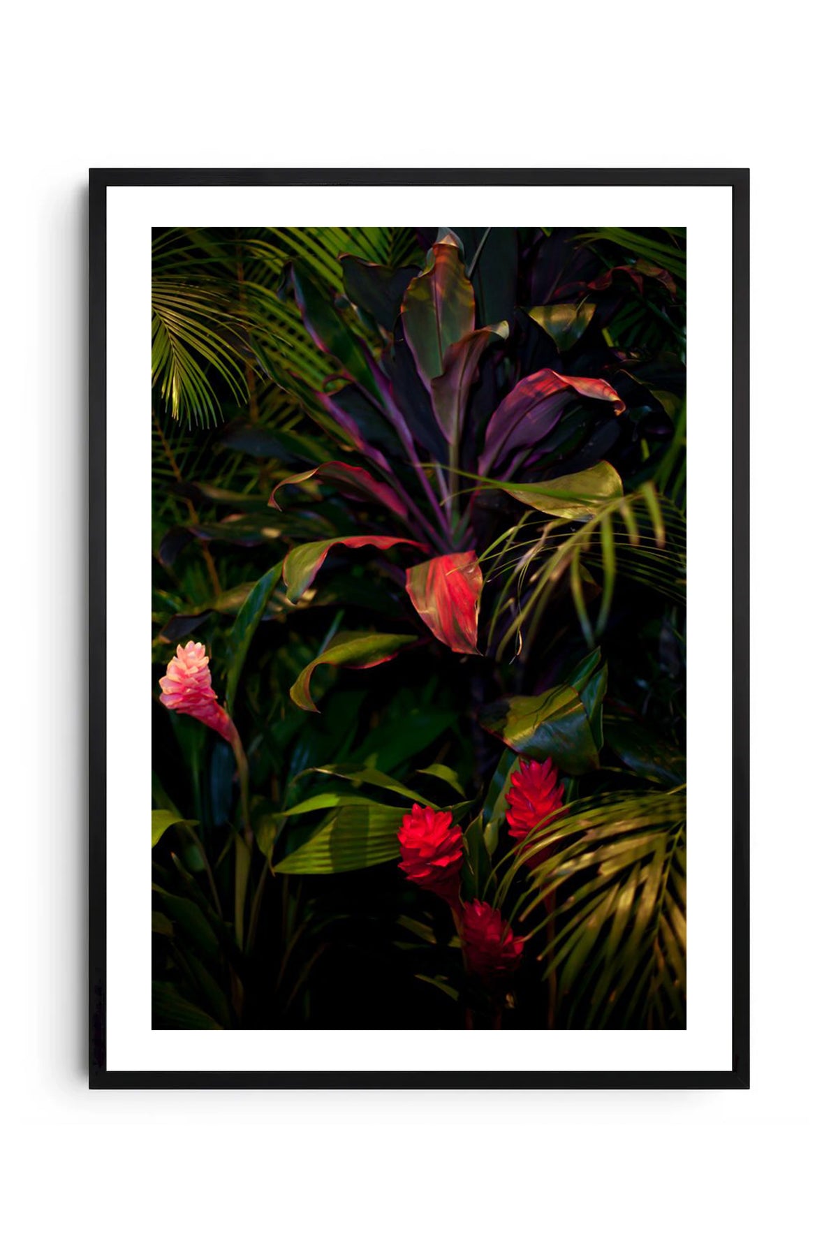 Jardín 1