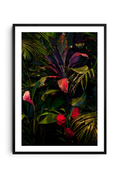 Jardín 1