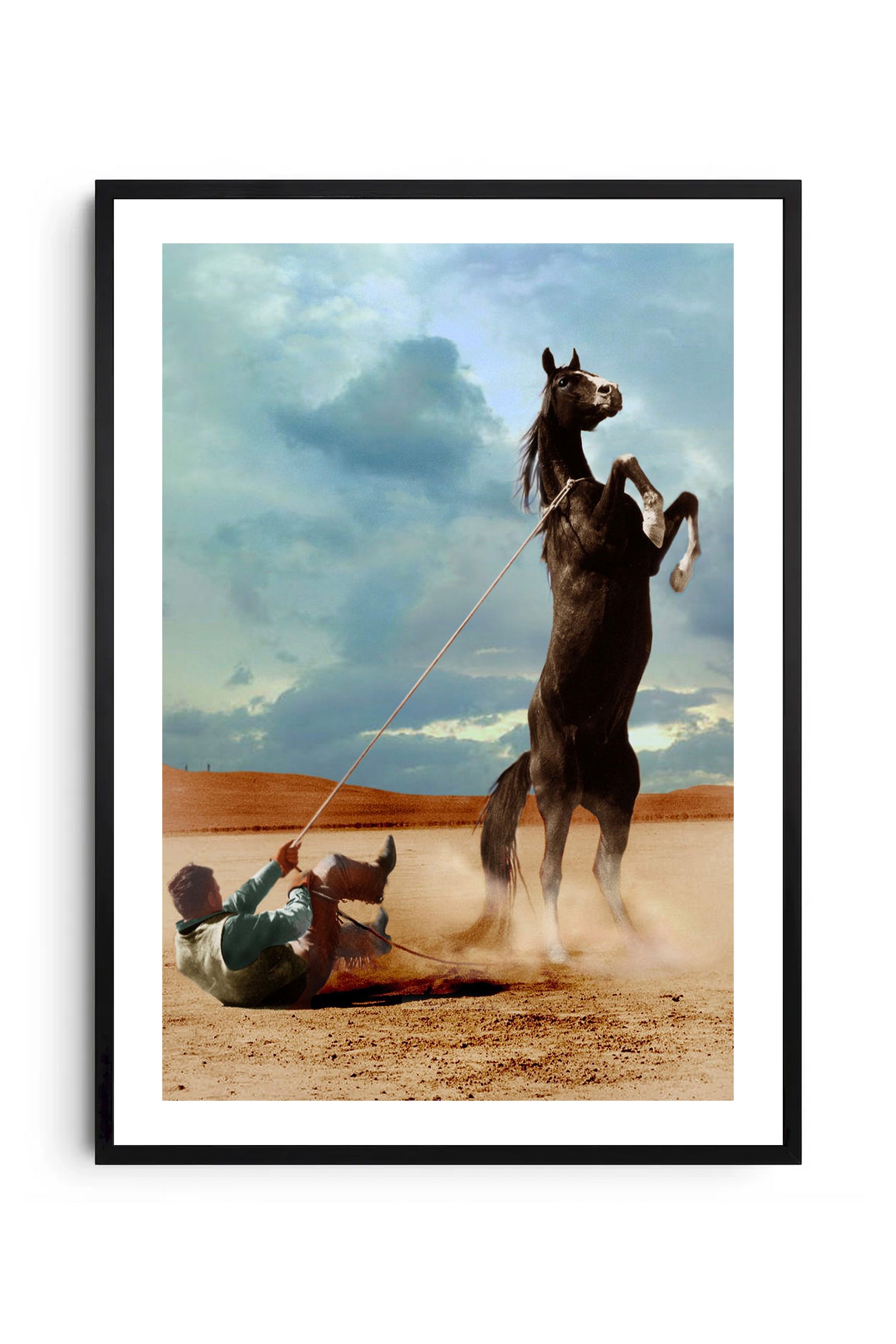 Caballo 2
