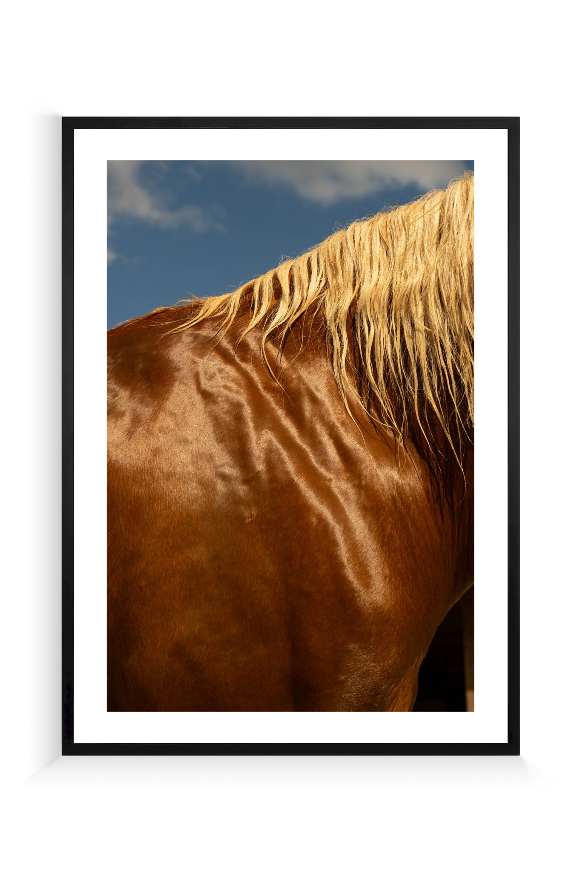 Caballo
