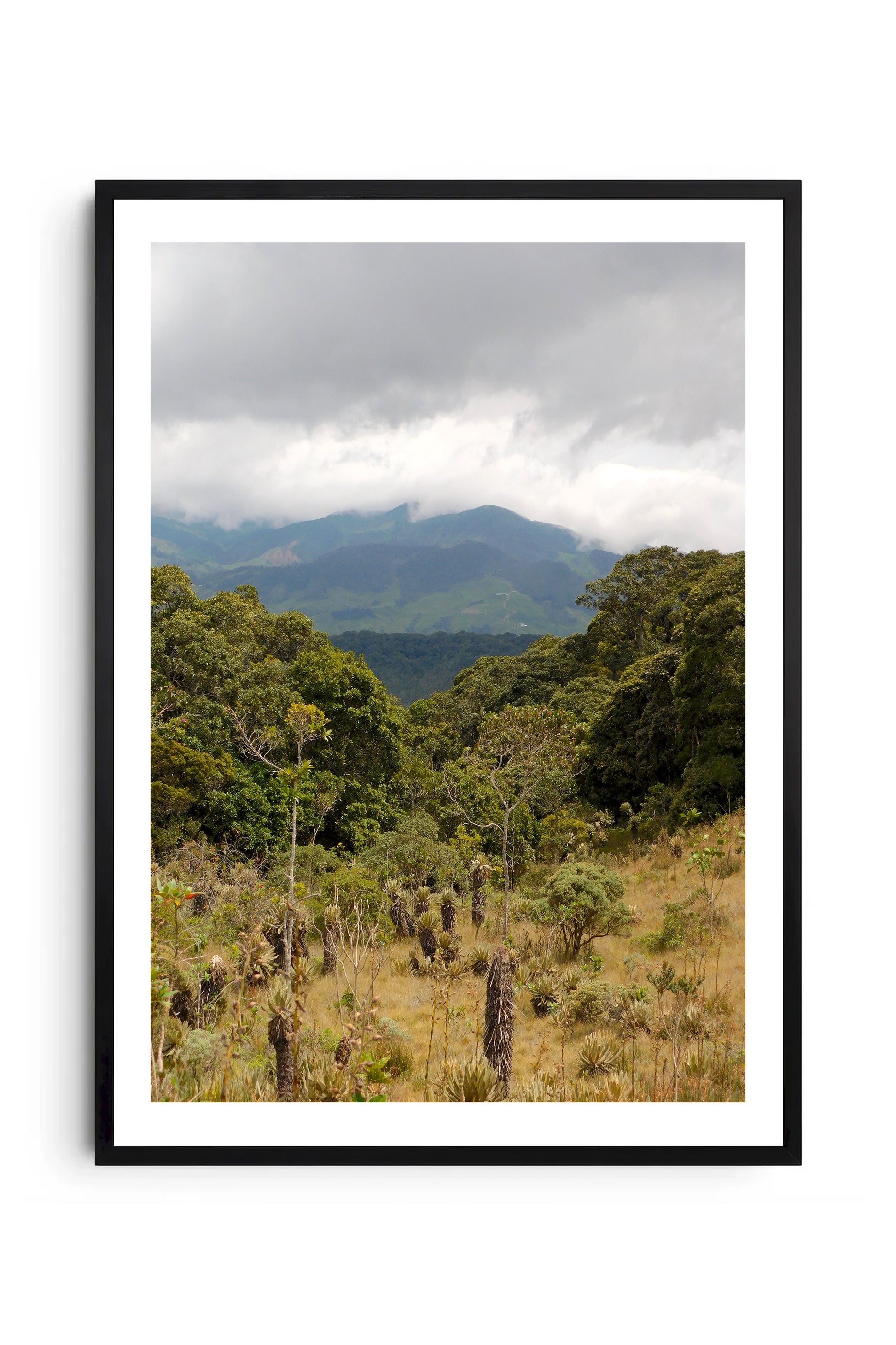 Paisaje 1
