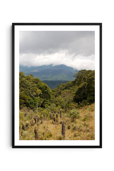 Paisaje 1