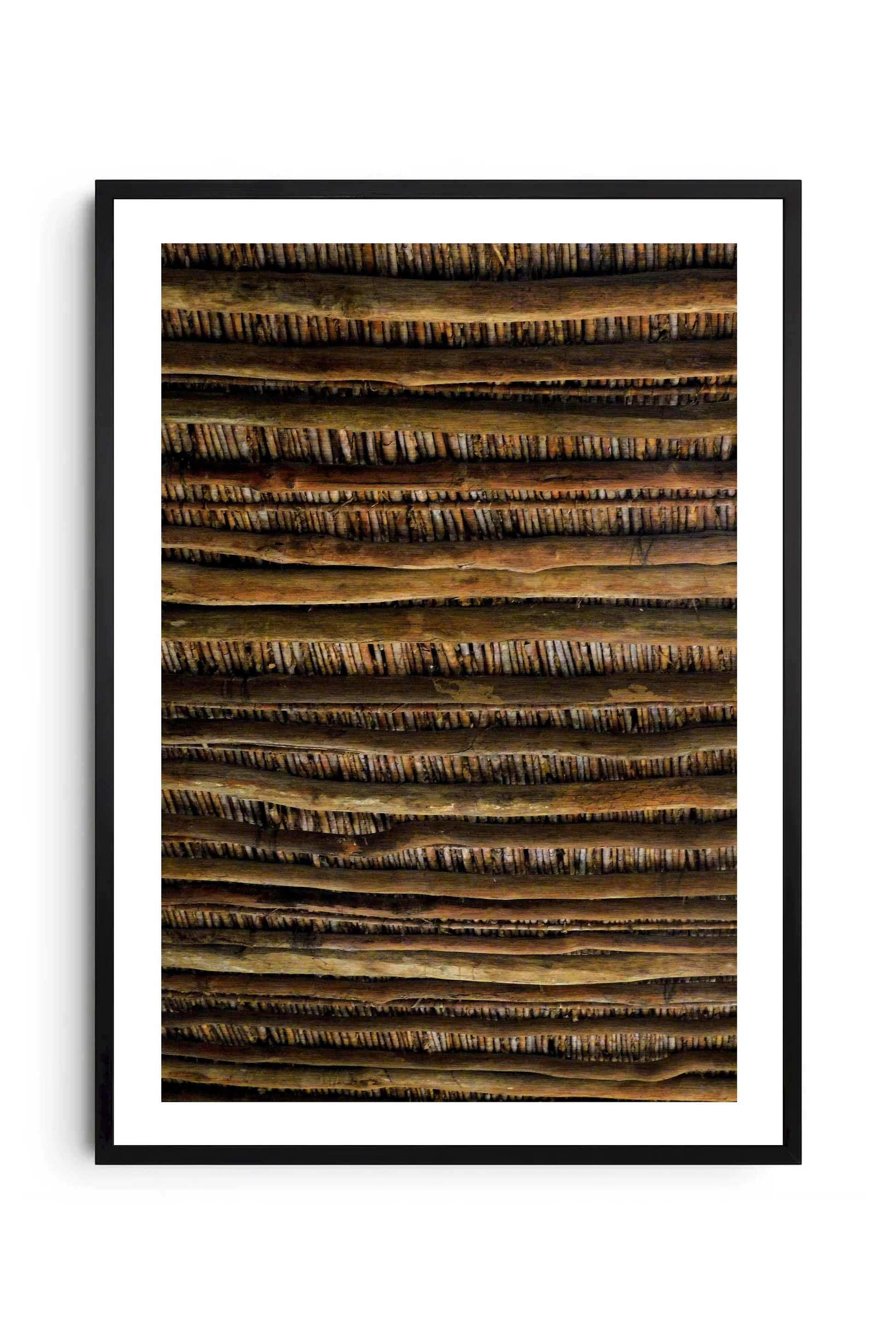 Textura 1